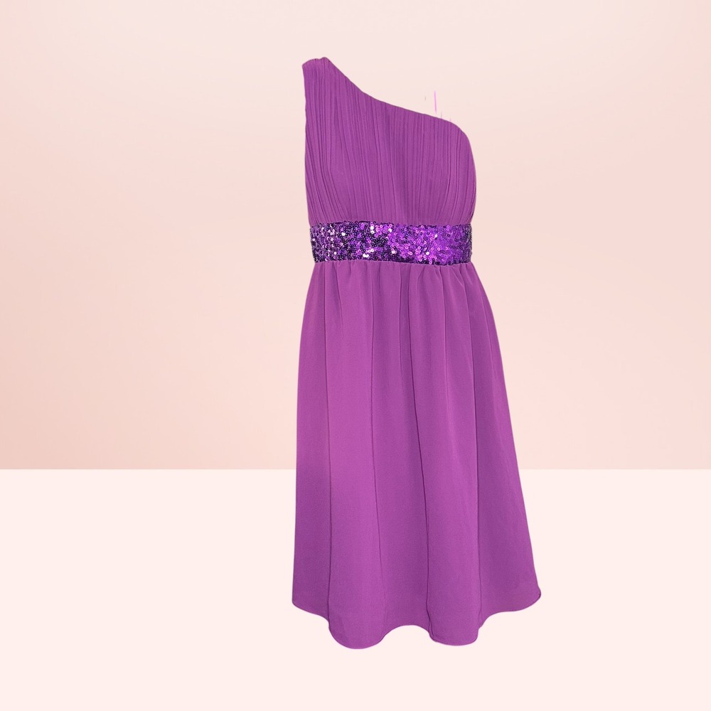 Amelia Collection One Shoulder Sequin Waist Purple Cocktail Dress Size 10 NEW